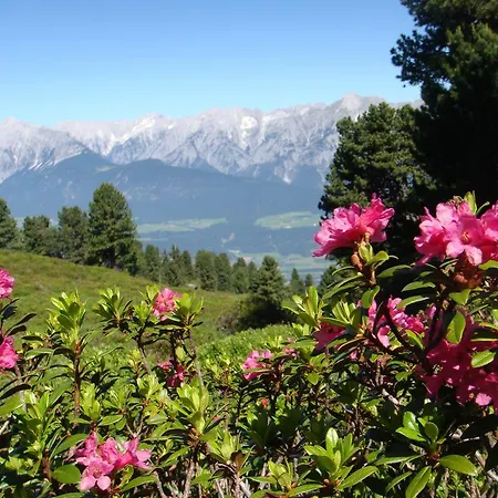 加尼里贾纳酒店 3* 韦伯格