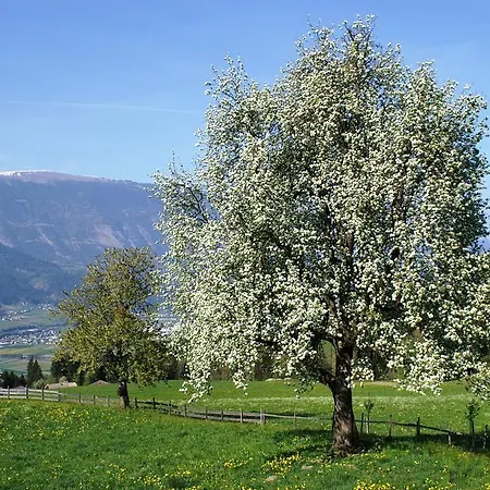 酒店 加尼里贾纳酒店 韦伯格