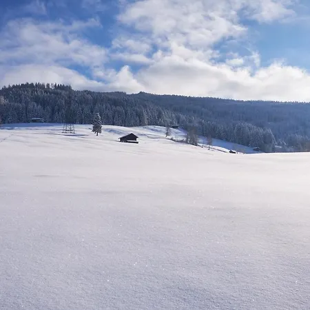 加尼里贾纳酒店 酒店 韦伯格