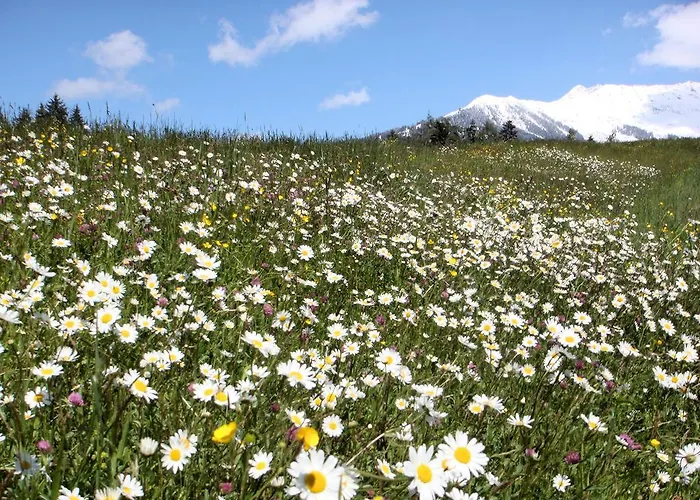 Garni Regina Hotel 3*