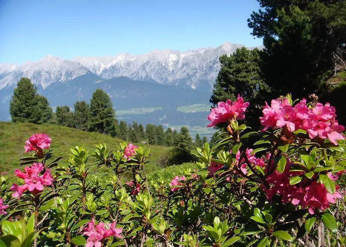 Garni Regina 3* Weerberg