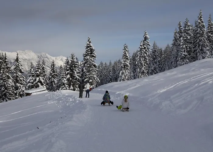 غارني ريجينا