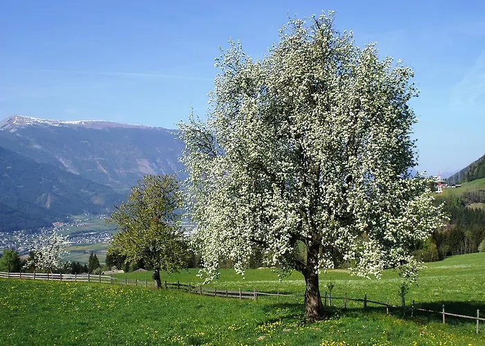 فندق غارني ريجينا Weerberg