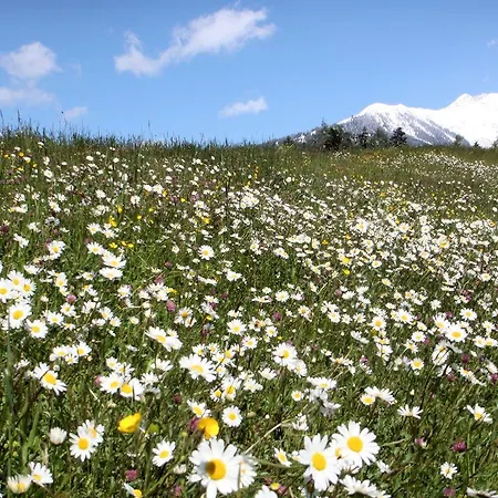 加尼里贾纳酒店 酒店 3*