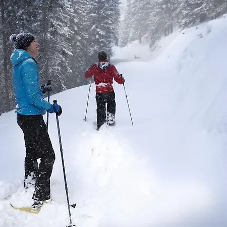 加尼里贾纳酒店 酒店